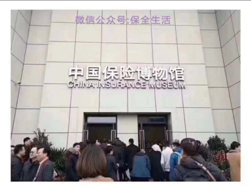 保险就是风险完整视频,保险就是一场美丽的骗局