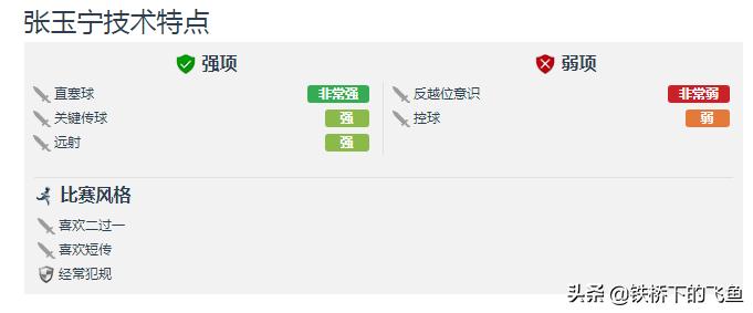 张玉宁打法,张玉宁海牙攻强守弱