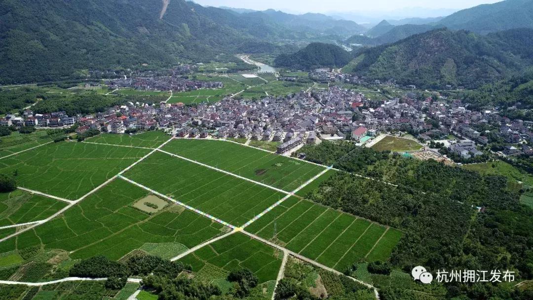 钱塘江画卷,钱塘江画作