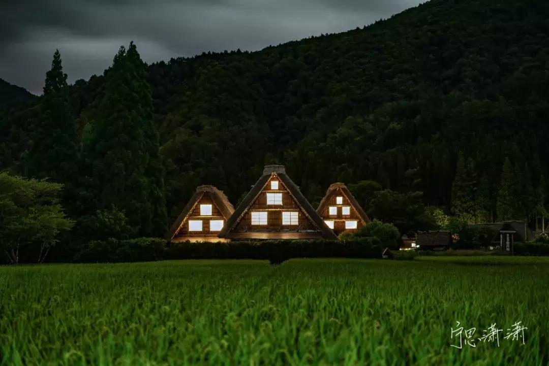 相机对焦技巧教程,相机对焦有哪些方法和技巧