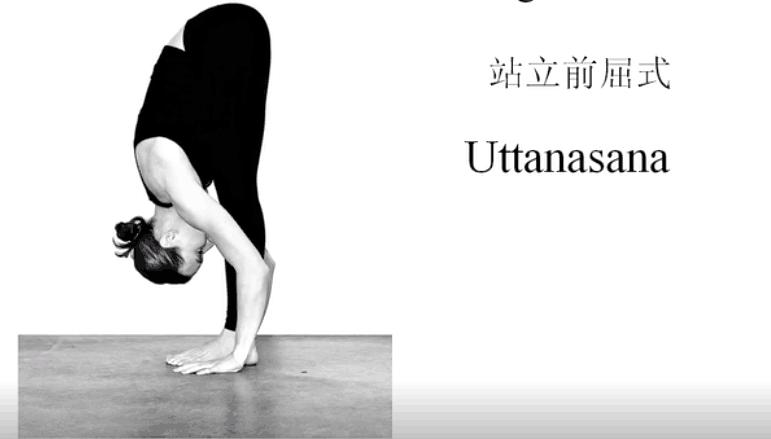 站立式前屈动作,站立前屈如何延展脊柱