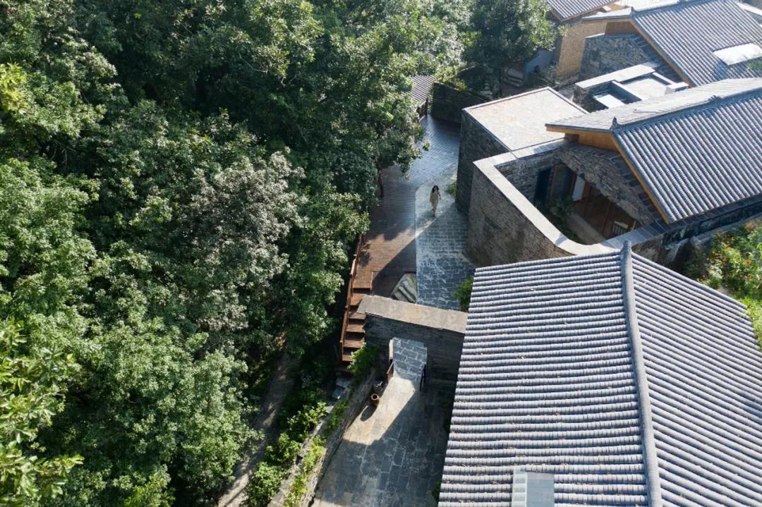 武大师兄弟复活湘西秘境，1块钱就能入股