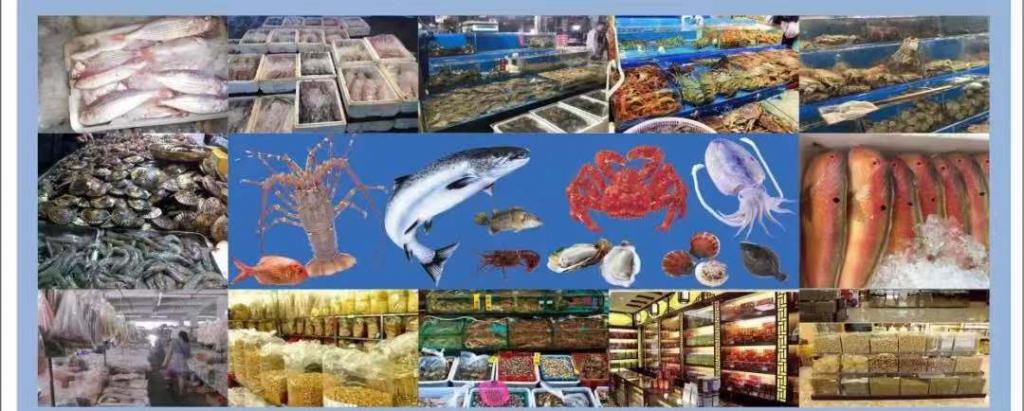 铭扬百岛,海味来袭!铭海农副水产批发专营区盛大开业