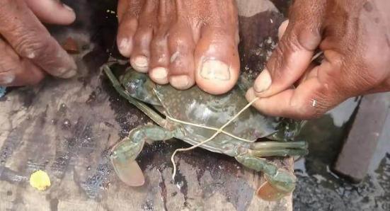 看看印度人是怎么干活,看看印度人如何吃火锅