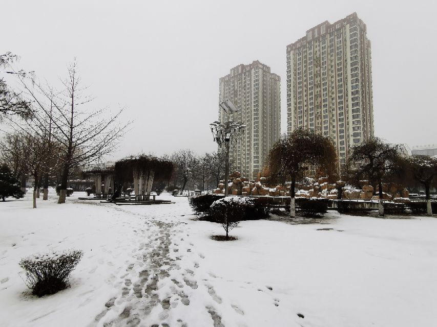 娌堥槼寮犲＋濂夎揪鍏洯,娌堥槼濂夎揪鍏洯