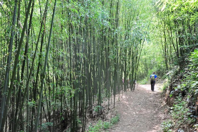 走向我们的小康生活视频如何制作,走向我们的小康生活中国画