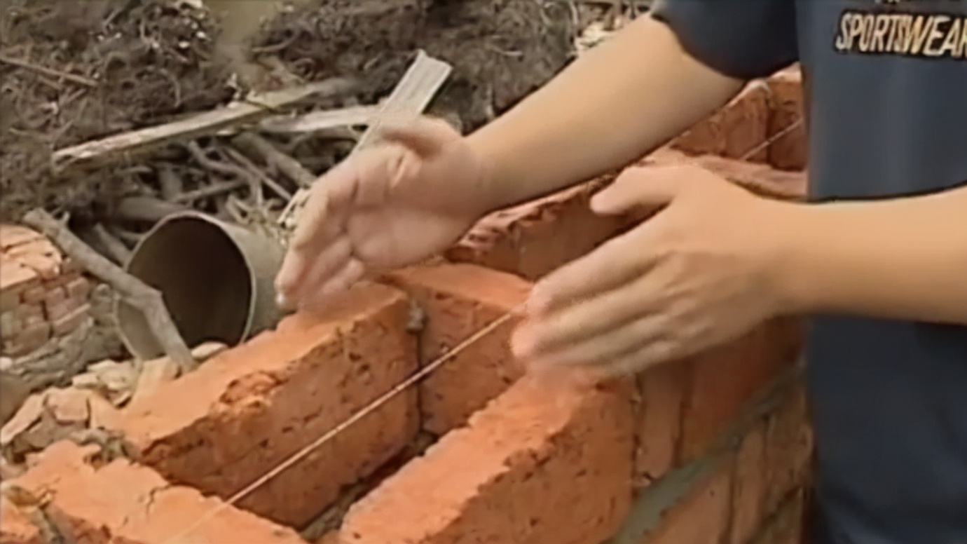 毒蝎进村的真实事件,毒蝎进村的真实原因