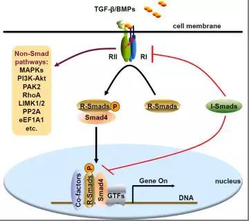 硬货的解析,硬货必买的10种