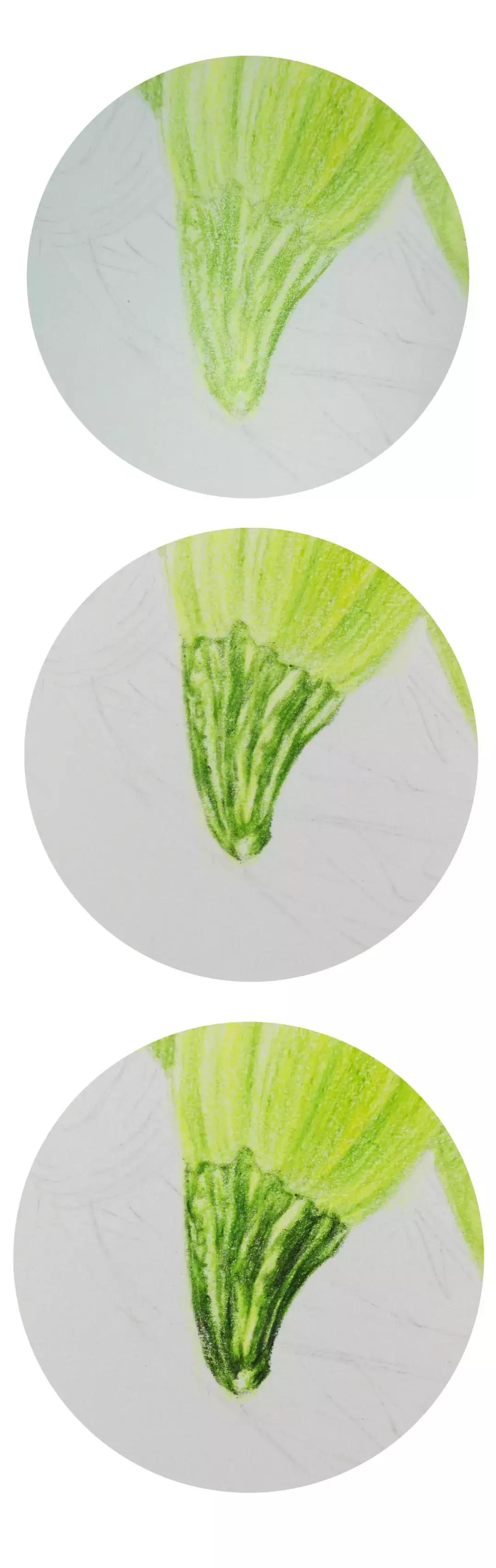 彩铅入门教学叠色,立体彩铅入门基础