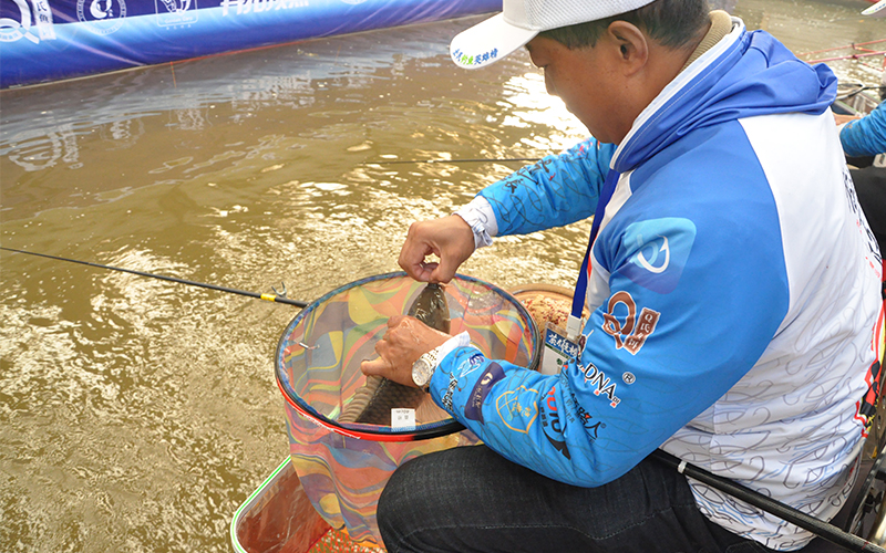 百万级钓鱼比赛,618钓鱼大赛