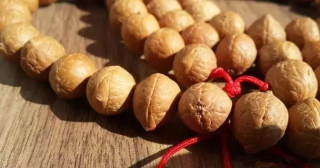 凤眼菩提为什么有的眼睛特别亮,凤眼菩提眼睛破了