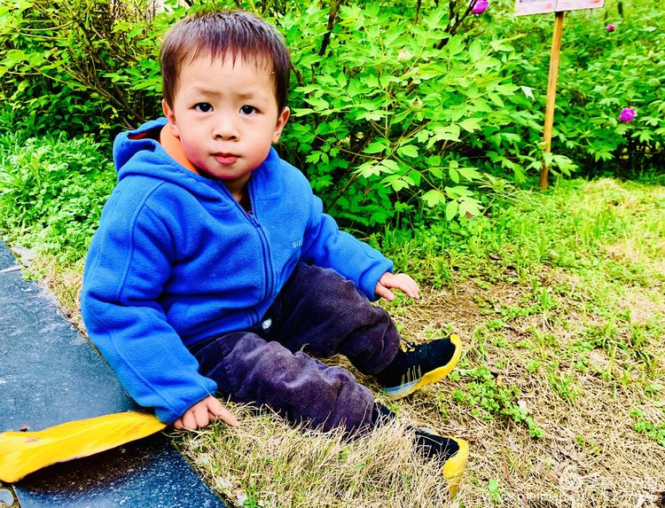 金色童年8张图片,金色的童年相片