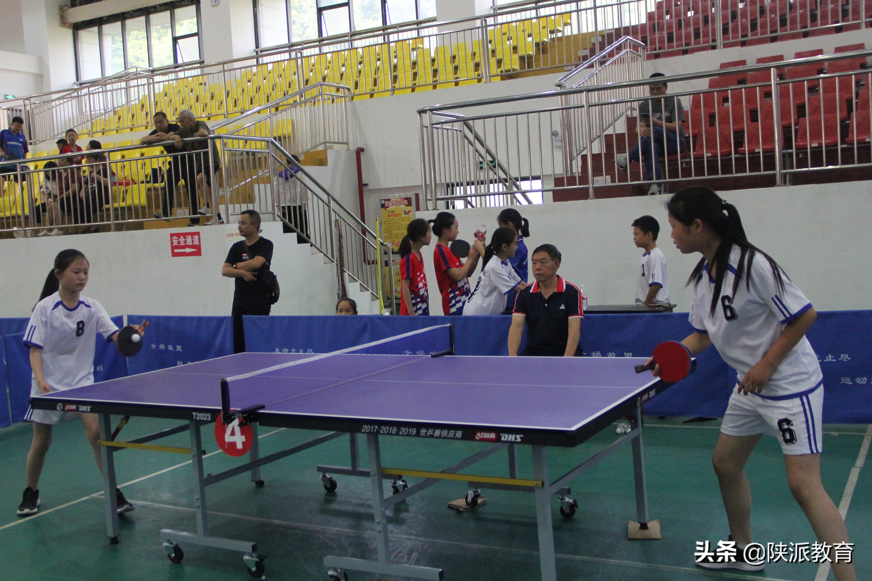 平利县第二届球类运动会乒乓球,平利县球类运动会