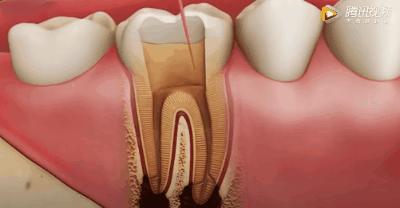 上海雅悦齿科,雅悦齿科医院简介