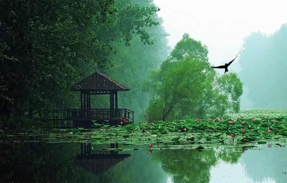 济宁最大的湖,山东最大的湖泊南四湖