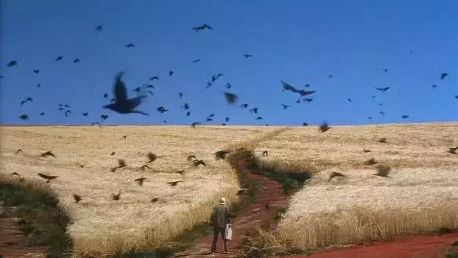 世人说我的爸爸是神，但他就是个普通人