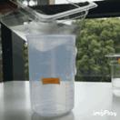 如此残暴的测评路子,这3款某宝销量火爆的宠物浴巾能否hold住?