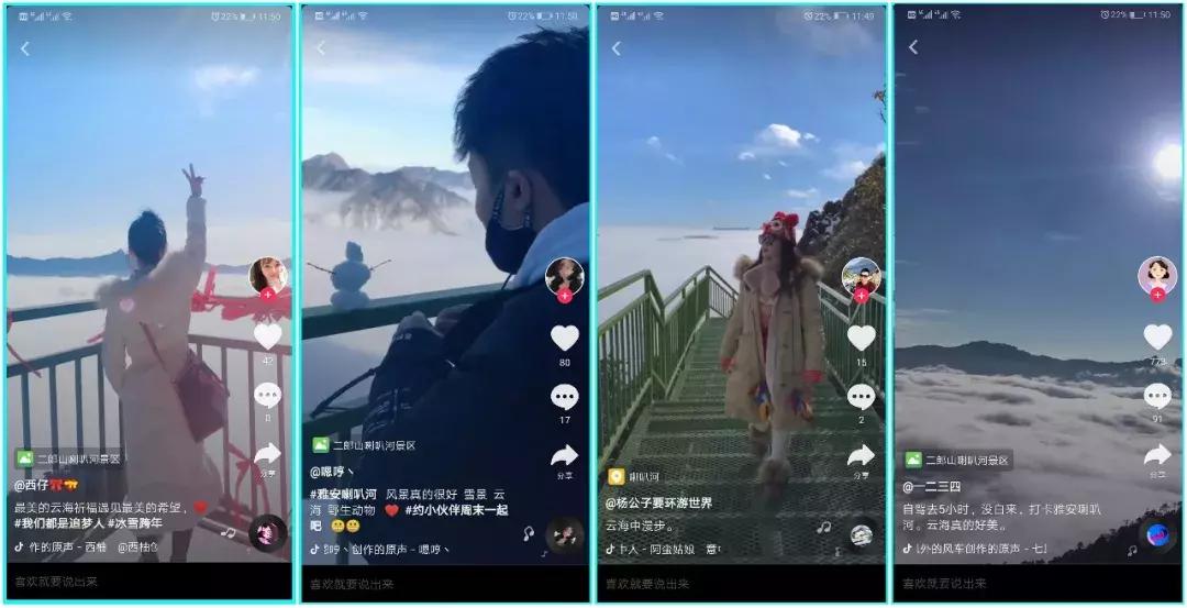 万亩杜鹃花开！邂逅野生水鹿，观云海住树屋，成都自驾3.5h就到！