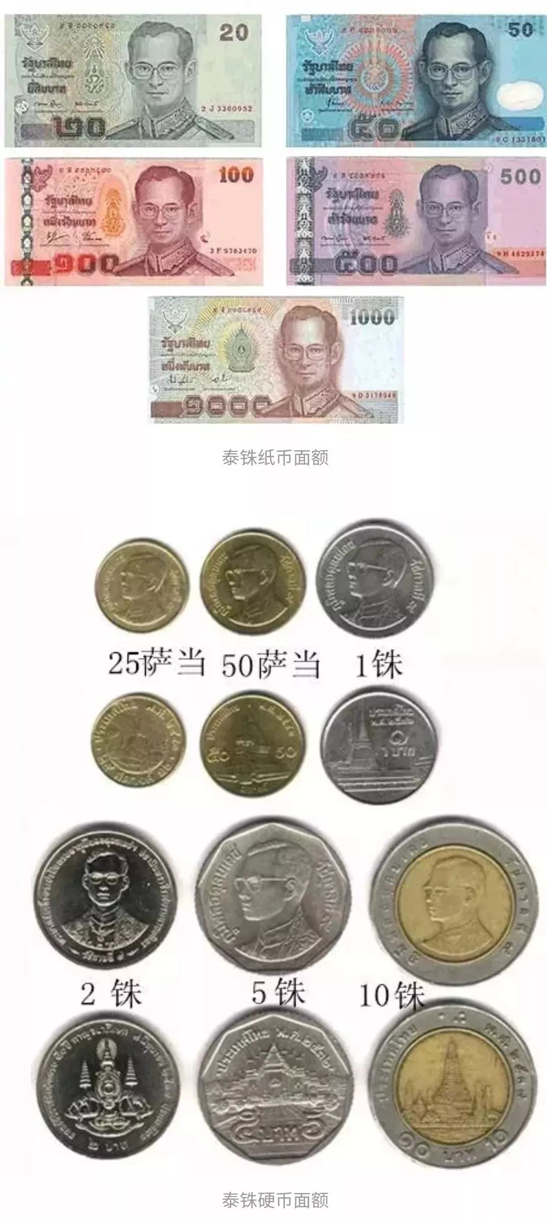 第一次去泰国如何申请落地签？填入境卡？一篇文章帮你全搞定