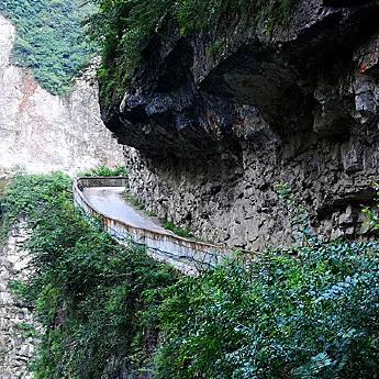 水库鱼一百斤,水库鱼100斤