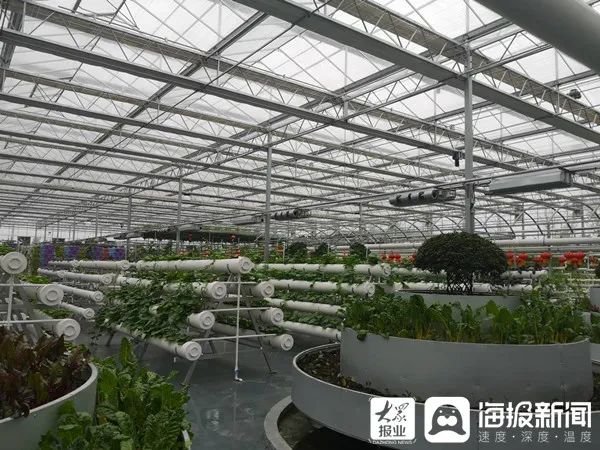 20多家主流媒体齐聚,一百多家媒体关注蒙阴