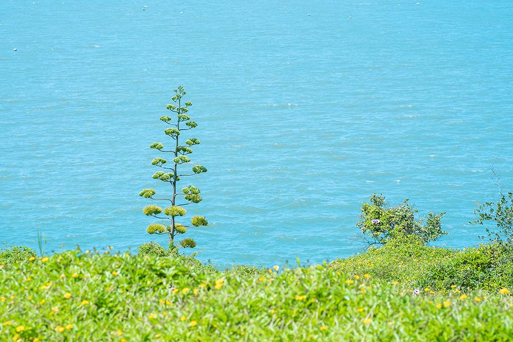 福建最优美的海岛海滩,福建最具ins风的海岛