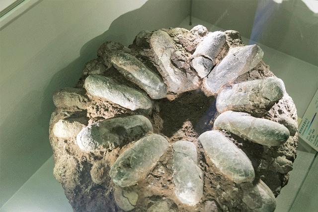 深圳宝安哪里有网红打卡的地方,深圳宝安打卡好玩的地方推荐