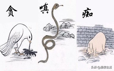 原创首发｜当贪念起时一切将归于尘土（一）