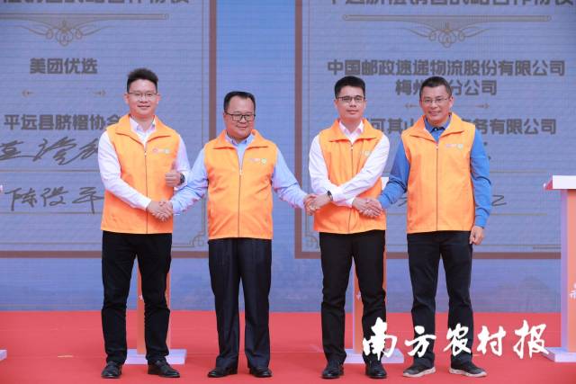 丰收节梅州,梅州丰收节高清图片