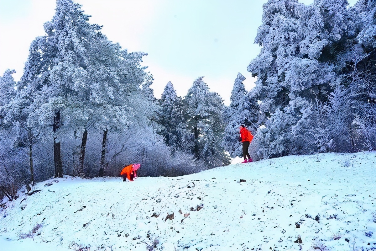书藏古今港通天下,书藏古今港通天下央视