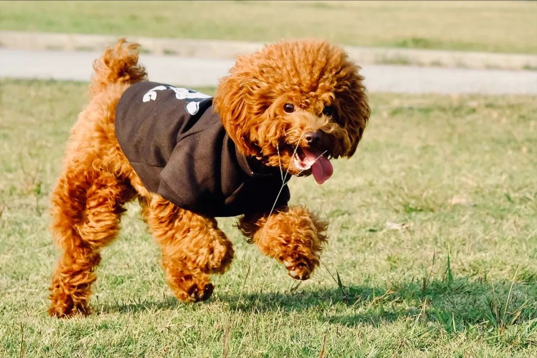 宝安西部中心,宝安的市中心