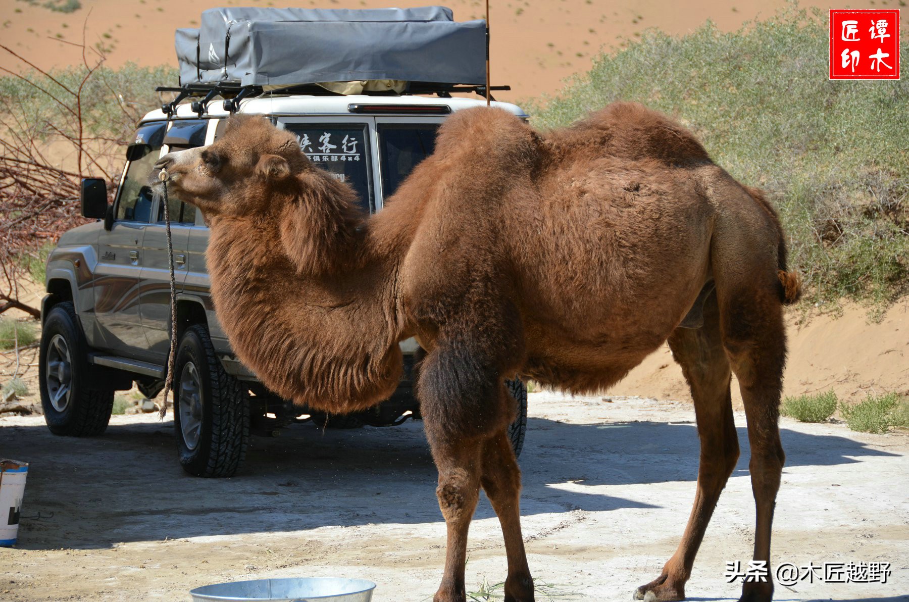 当木工学徒,当木匠的故事
