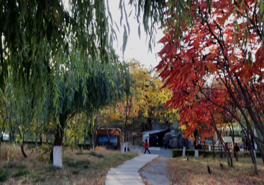 鞍山明达世纪花园怎么样,鞍山明达世纪花园四室