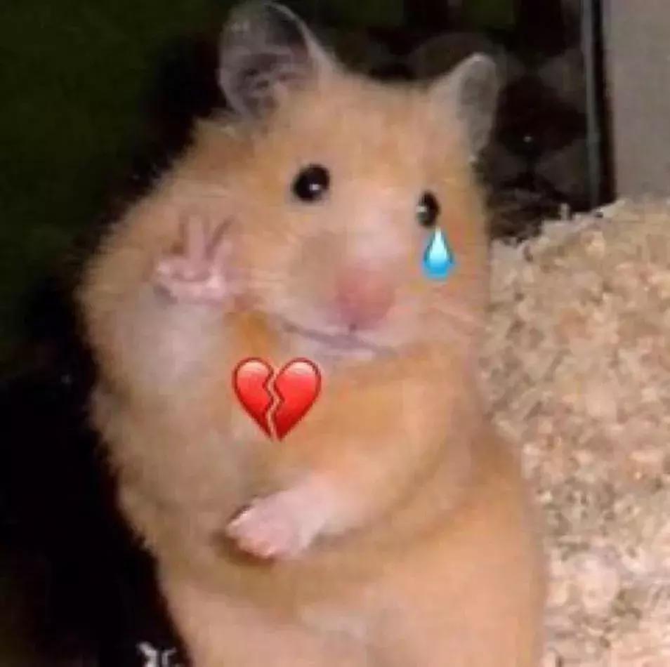 盘点闺蜜那些奇葩的礼物,奇葩闺蜜礼物