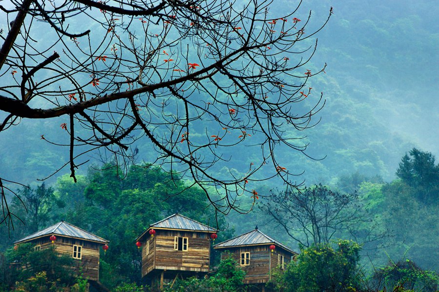 印度疫情最新真实状况,印度疫情真实记录