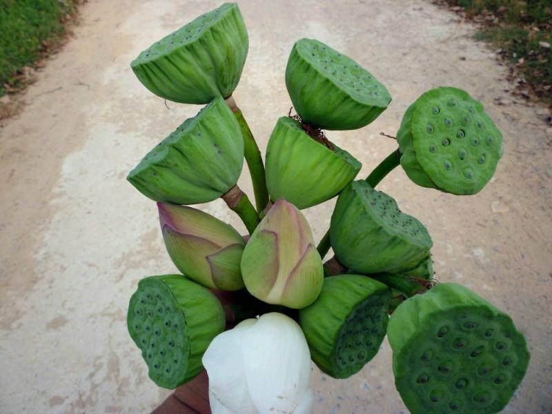 曹县魏湾镇各村姓氏分布,曹县魏湾地名