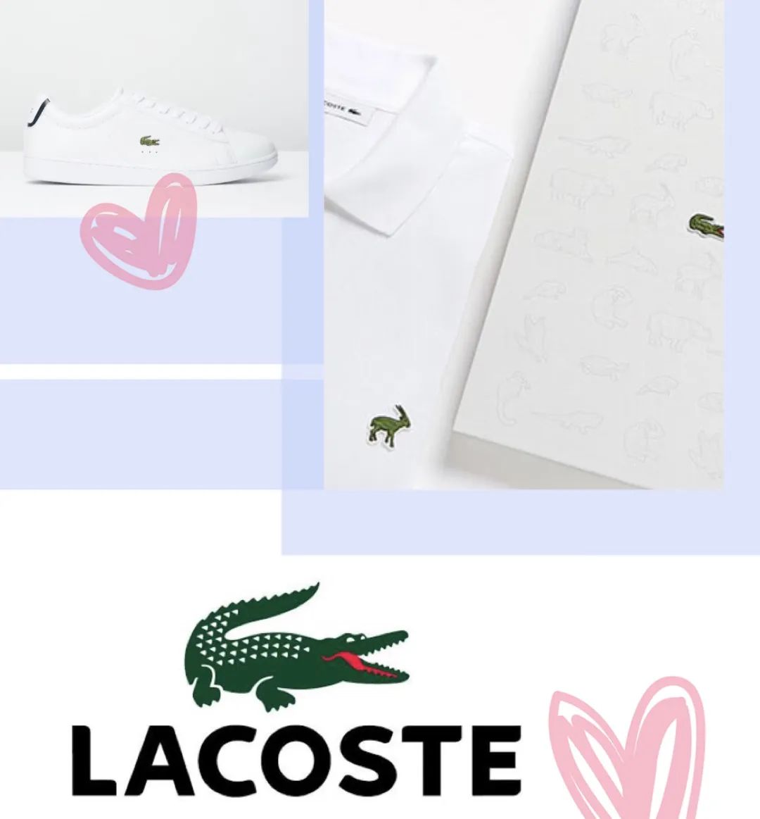 网球史上最经典战役,网球史上最精彩的瞬间