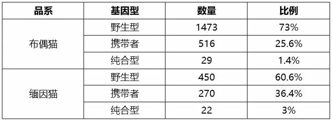 猫咪肥厚型心肌病怎么预防,猫肥厚型心肌病b超诊断