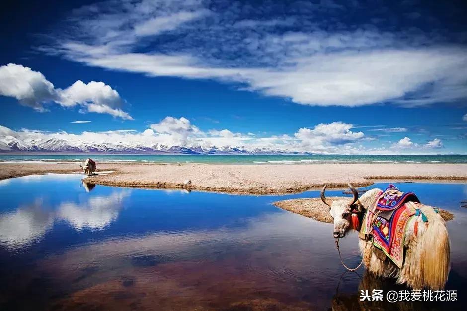 中国各省特产美食一览表 (各省代表性的特产可以送人的)