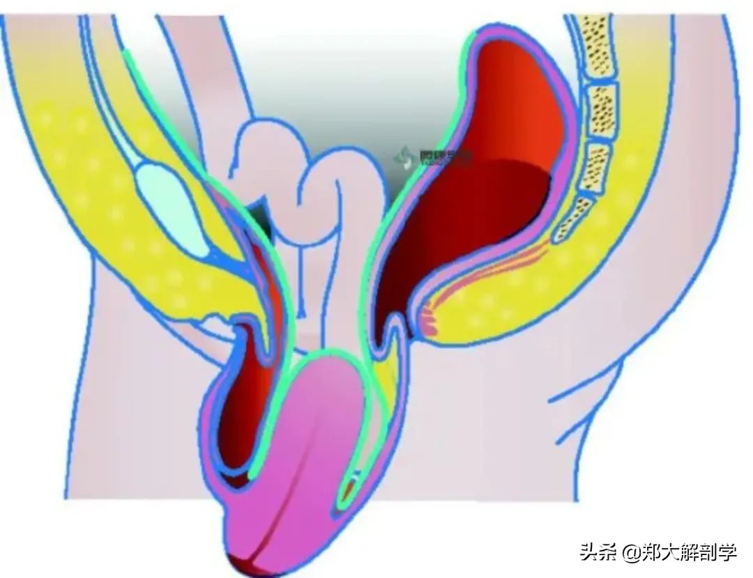 女性盆底功能障碍性疾病表现,南通治疗盆底功能障碍的医院