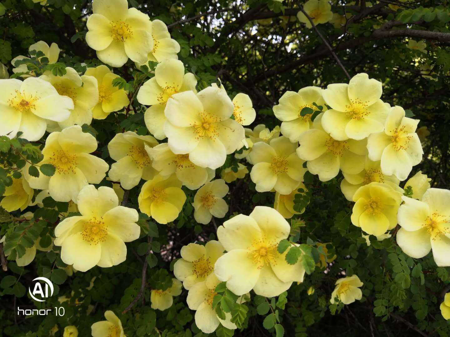 表示除了的介词,表对于的介词