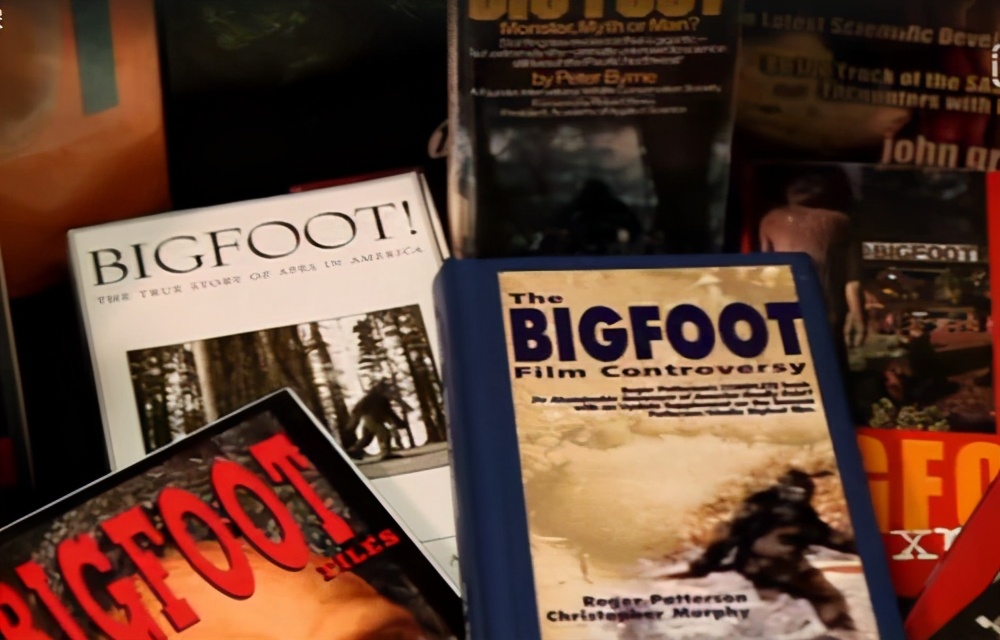 没有金字塔,没有金字塔的世界