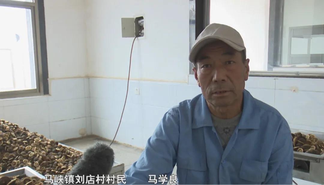 平凉市青松中药饮片有限公司,青松中药饮片有限公司