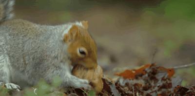 豆瓣9.8分悬疑大片,窥探电视剧豆瓣评分