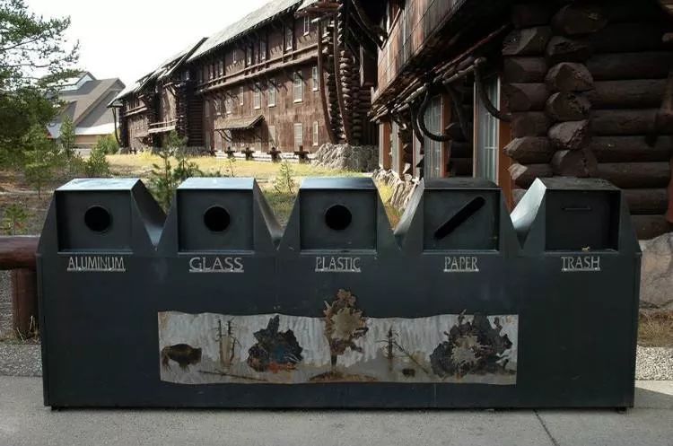 林子大了什么鸟都有是什么梗,林子大了什么鸟都有没啥稀奇的