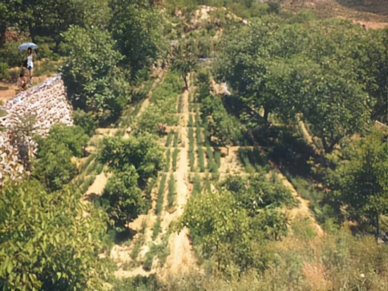 北京门头沟灵溪风景区游记,门头沟野溪徒步攻略