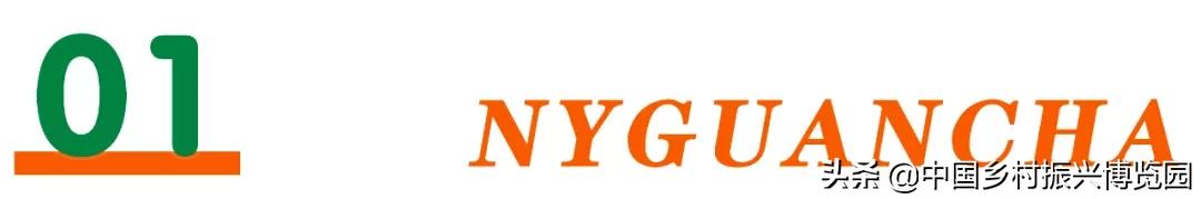 乡村振兴产业方面存在的问题,乡村振兴最有前景九大产业