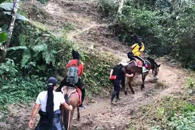 腾冲樱花谷哪里好,腾冲樱花谷的樱花什么时候开