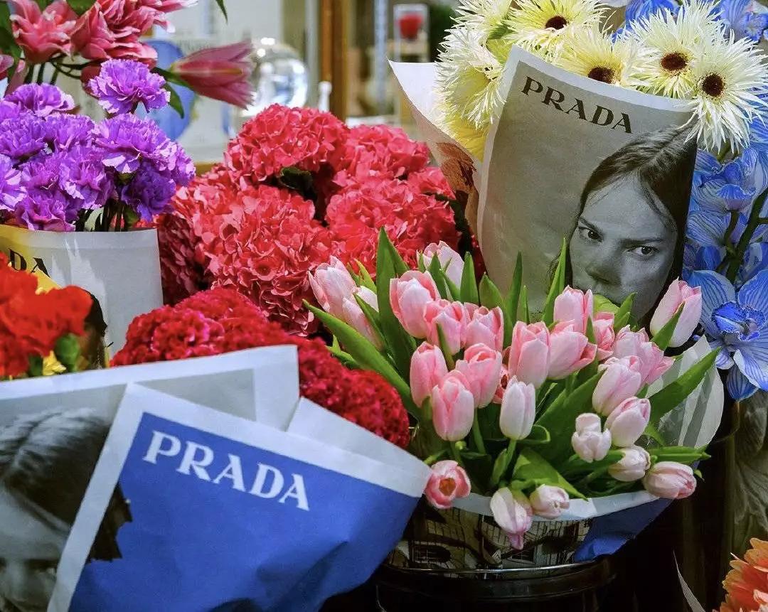 prada跟nike联名海报,pradanike合作款