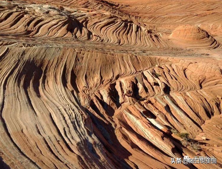 荒野乱斗流彩伊芙强度,荒野行动榴弹怎么用